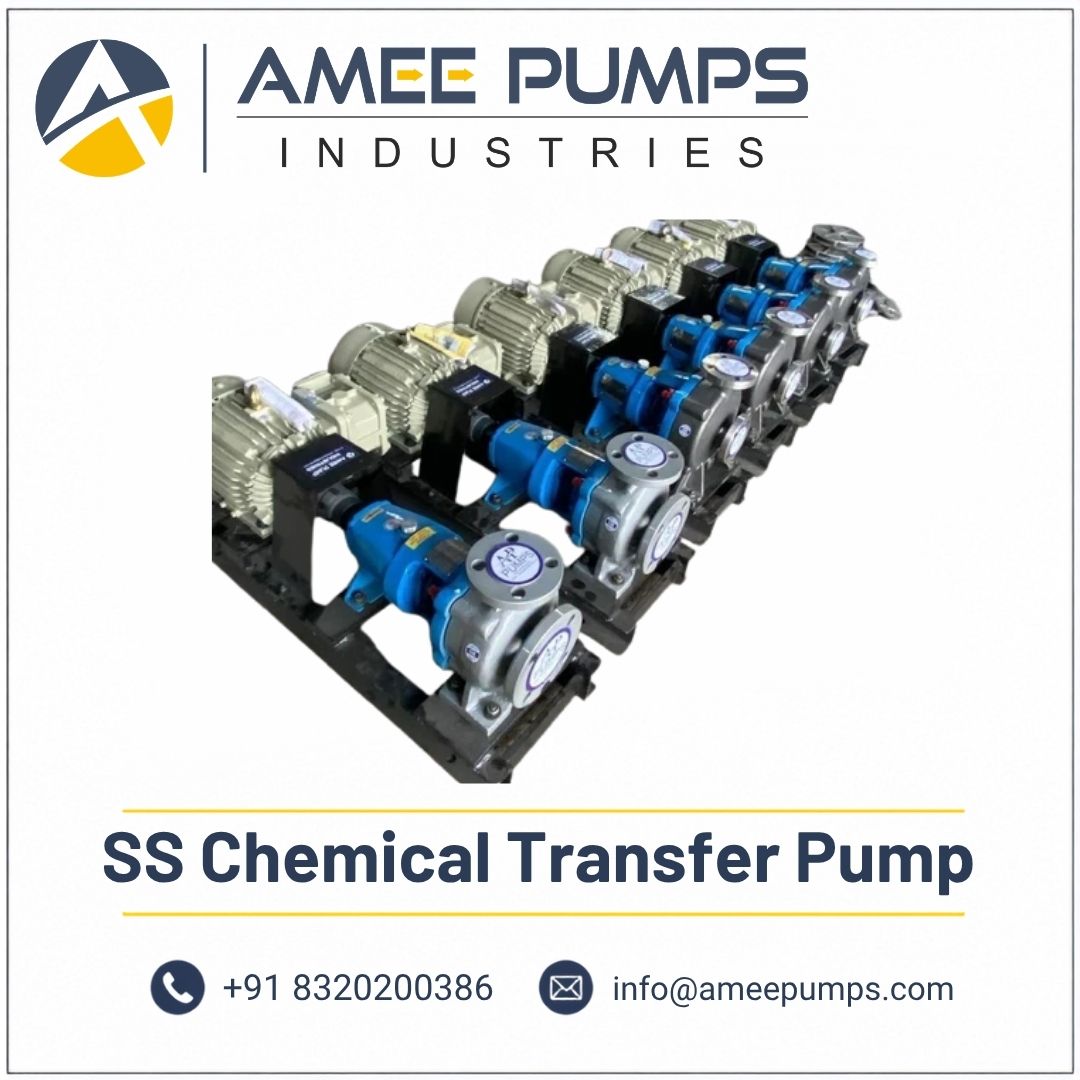 SS Chemical Transfer Pump